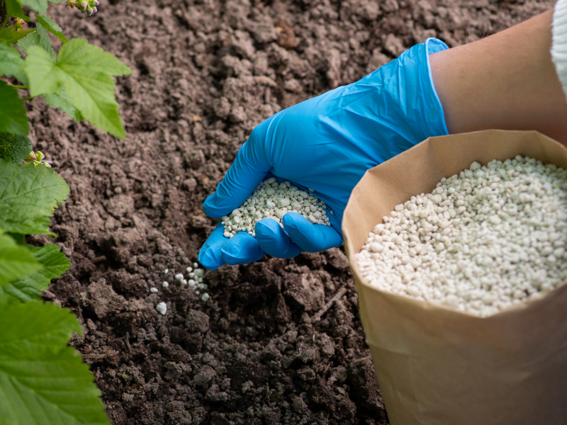 pouring fertilizer on soil in Dublin, GA